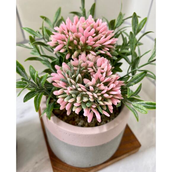 Set of 3 Artificial Pink Allium Flowers in Handmade Concrete Pot with Wood Tray - Picture 2 of 9